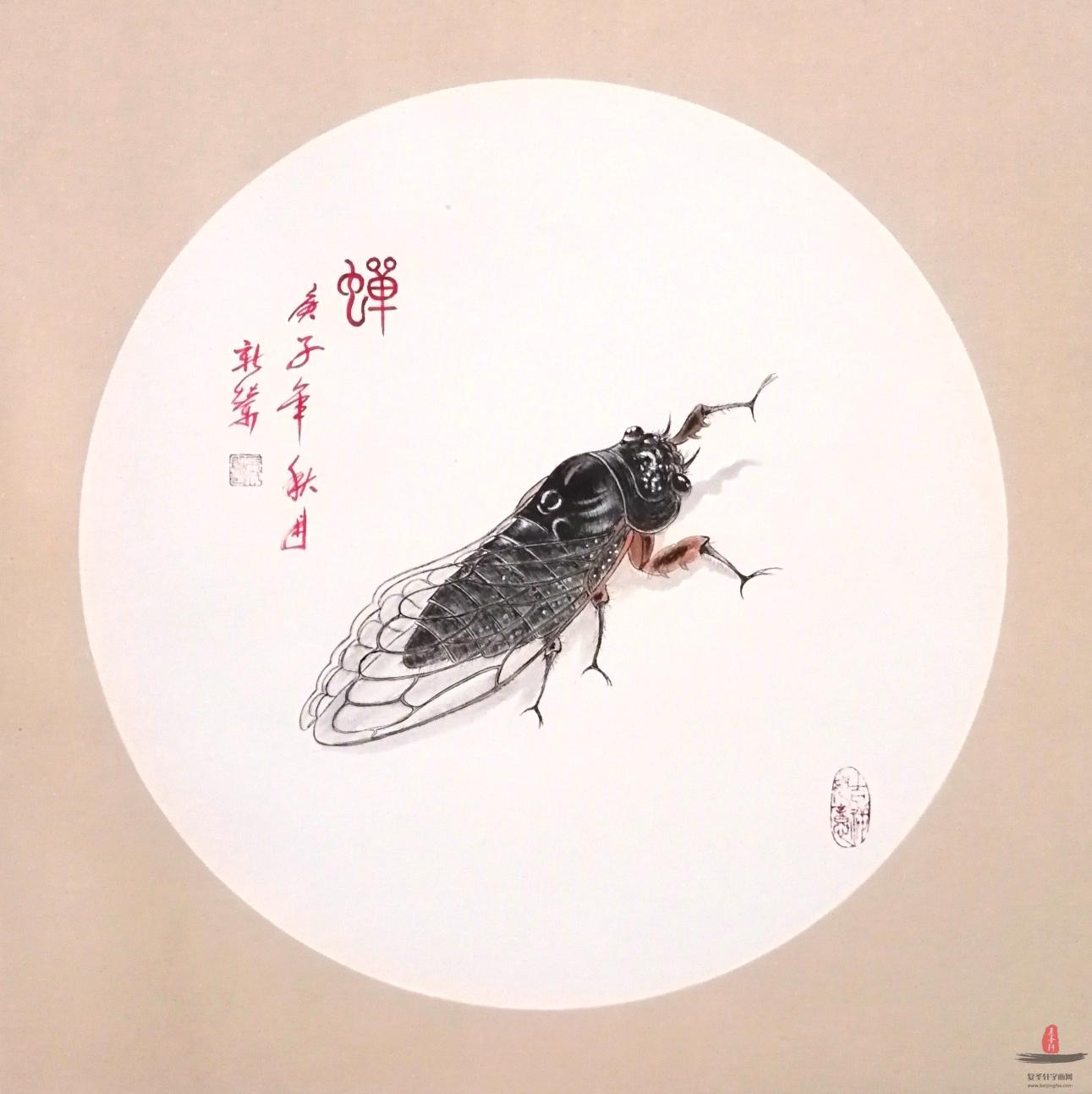 马新荣《蝉》